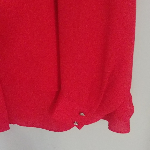 Laura Plus Ladies Button Sheer Blouse - Picture 4 of 11